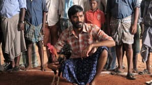 ஆடுகளம் — foto 1
