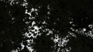 Reclamation — foto 1