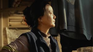 出走的决心 — foto 2