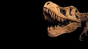 Bizarre Dinosaurs — foto 4
