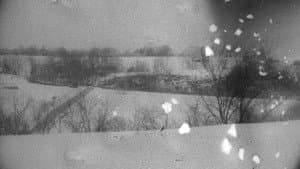 I Must Leave This Behind — foto 10