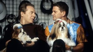 El perro ganador — foto 11