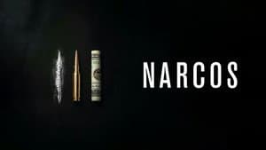 Narcos — foto 11