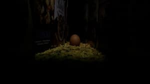 28 Eggs Later — foto 3