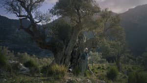 Pedra i oli — foto 1