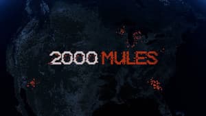 2000 Mules — foto 5