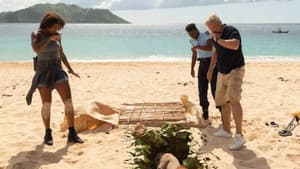 Meurtres à Saint-Martin — foto 5