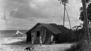 O Canto do Mar — foto 1