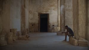Palermo Sole Nero — foto 1