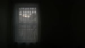 The Grandmother Dream — foto 1