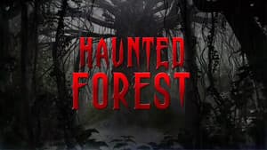 Haunted Forest — foto 1