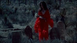 The Velvet Vampire — foto 8