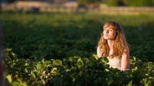Strawberry Fields — foto 2