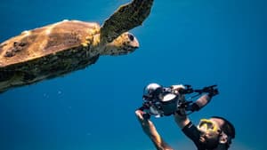 Méditerranée: L'odyssée pour la vie — foto 1