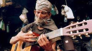 A Alma do Osso — foto 1
