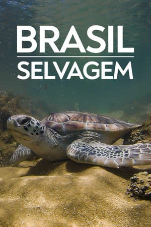 Temporada 3