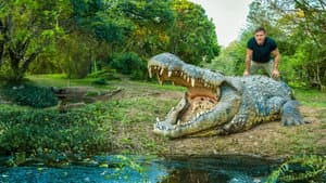 Killer Crocs with Steve Backshall — foto 1