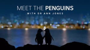 Meet the Penguins — foto 2