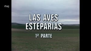 Episodio 70