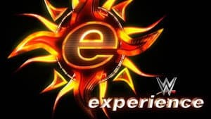 WWE Experience — foto 1
