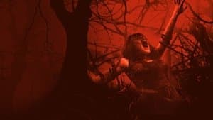 Posesión Infernal — foto 1