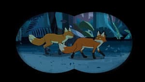 Episodio 29