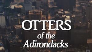 Episodio 9