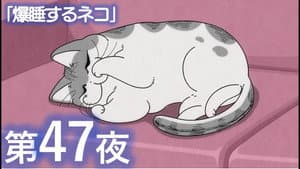 Episodio 47
