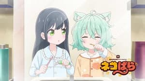 Episodio 11