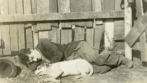 Vida de perro — foto 2