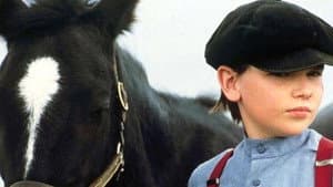 Pit Pony — foto 1