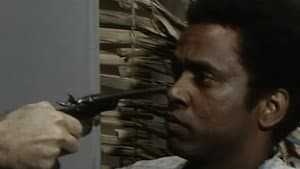 Episodio 24