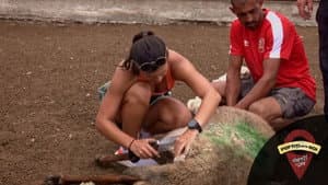 Episodio 5