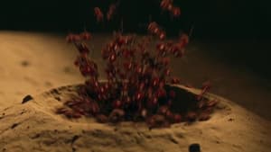 Episodio 11