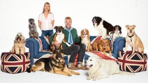 Britain's Favourite Dogs: Top 100 — foto 1