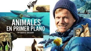 Animales de cerca con Bertie Gregory — foto 8