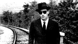 Il vedovo — foto 1