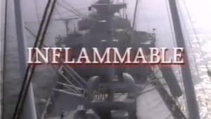 Inflammable — foto 1