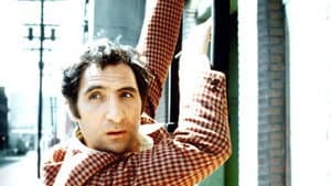 Delvecchio — foto 1