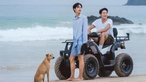 햄과 함께 — foto 2