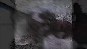 The Final Agony Of Infliction — foto 1