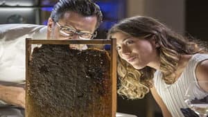 Episodio 3