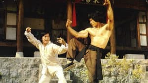매권 — foto 5