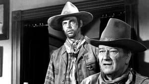 Rio Lobo — foto 5