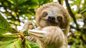 Untamed Costa Rica with Filipe DeAndrade — foto 11