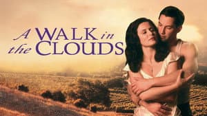 Un paseo por las nubes — foto 10
