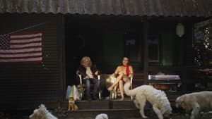 Nikó — foto 1