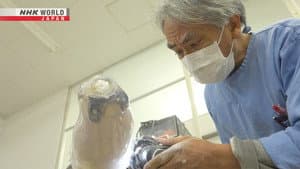 Episodio 1