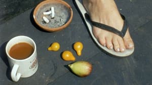 The Odds of Recovery — foto 4
