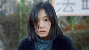 빛과 철 — foto 3